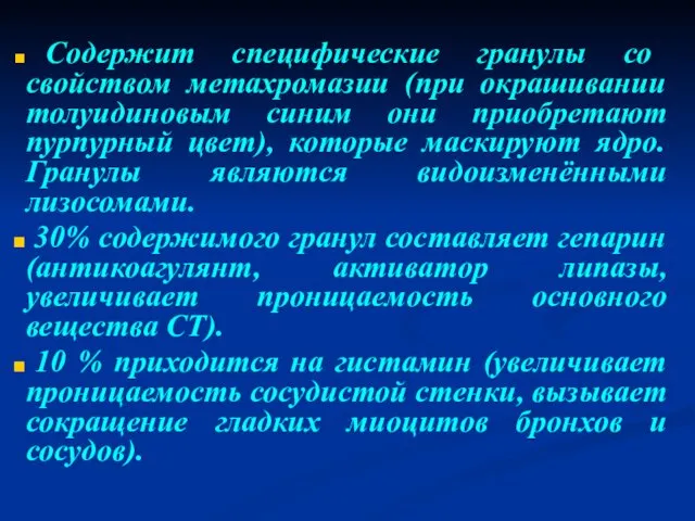 Содержит специфические гранулы со свойством метахромазии (при окрашивании толуидиновым синим