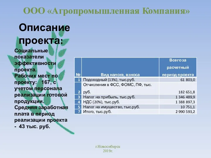 ООО «Агропромышленная Компания» г.Новосибирск 2019г. Описание проекта: Социальные показатели эффективности