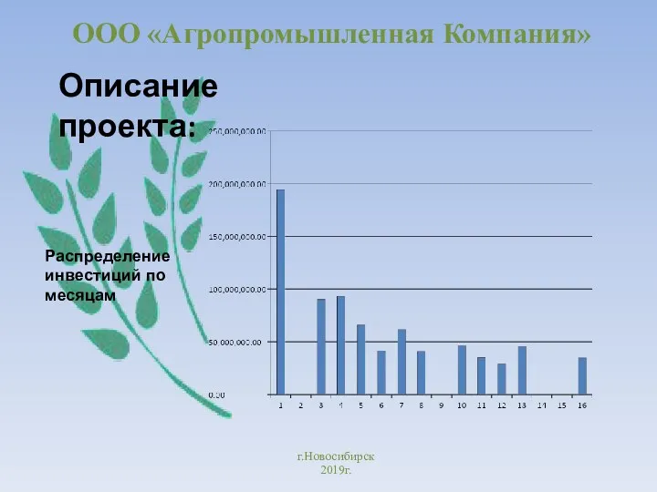 ООО «Агропромышленная Компания» г.Новосибирск 2019г. Описание проекта: Распределение инвестиций по месяцам