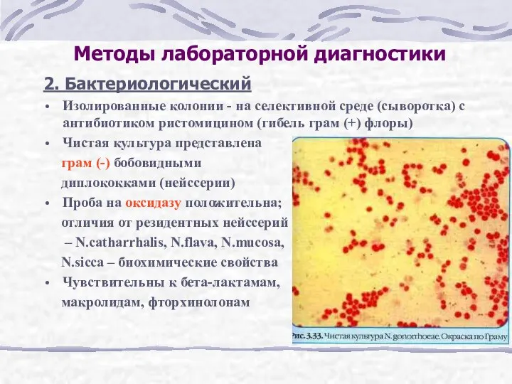 Методы лабораторной диагностики 2. Бактериологический Изолированные колонии - на селективной