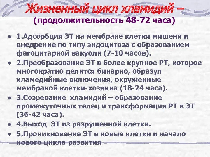 Жизненный цикл хламидий – (продолжительность 48-72 часа) 1.Адсорбция ЭТ на