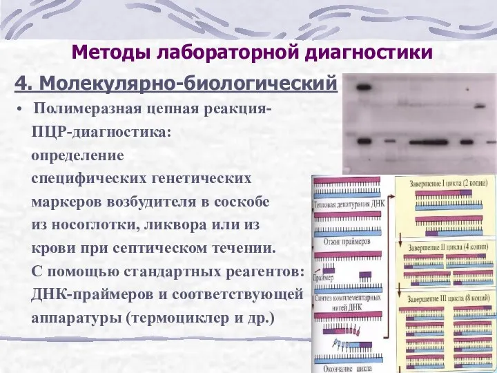 Методы лабораторной диагностики 4. Молекулярно-биологический Полимеразная цепная реакция- ПЦР-диагностика: определение