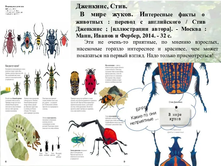 Дженкинс, Стив. В мире жуков. Интересные факты о животных :