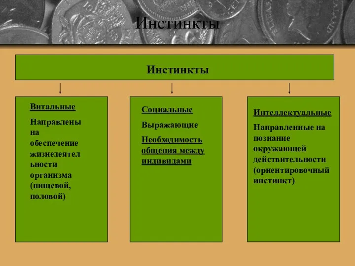 Инстинкты Инстинкты Витальные Направлены на обеспечениежизнедеятельности организма (пищевой,половой) Социальные Выражающие