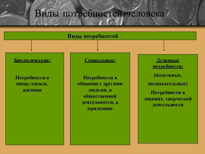 Виды потребностей человека Виды потребностей Биологические: Потребности в пище, одежде,