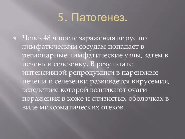 5. Патогенез. Через 48 ч после заражения вирус по лимфатическим