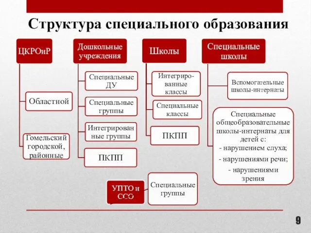 Структура специального образования