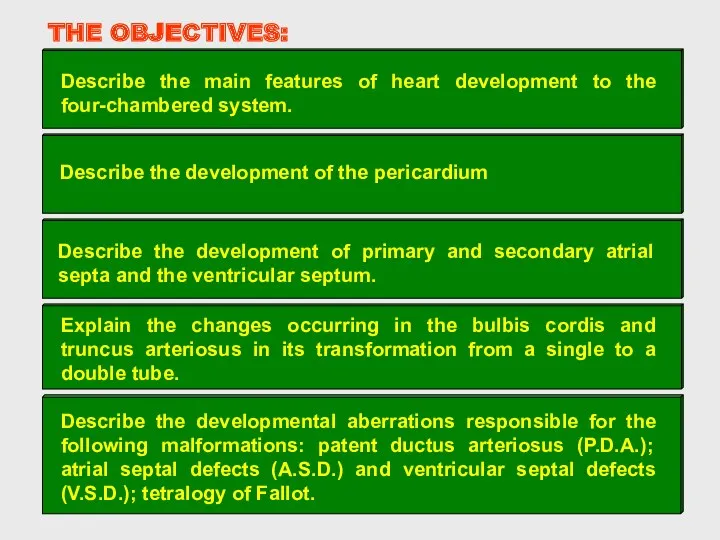 THE OBJECTIVES: