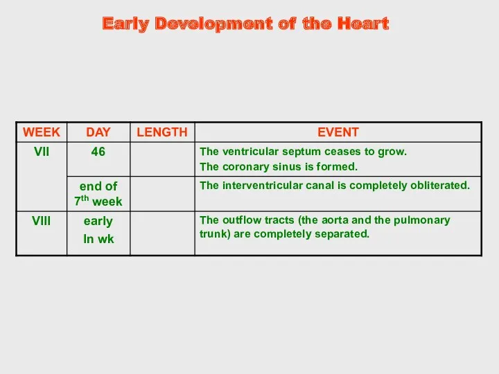 Early Development of the Heart