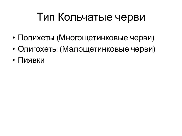 Тип Кольчатые черви Полихеты (Многощетинковые черви) Олигохеты (Малощетинковые черви) Пиявки