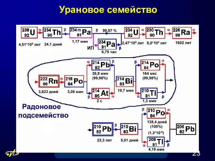 Урановое семейство