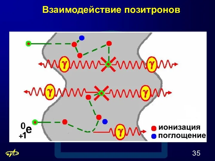 Взаимодействие позитронов