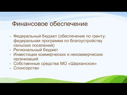 Финансовое обеспечение Федеральный бюджет (обеспечение по гранту; федеральная программа по