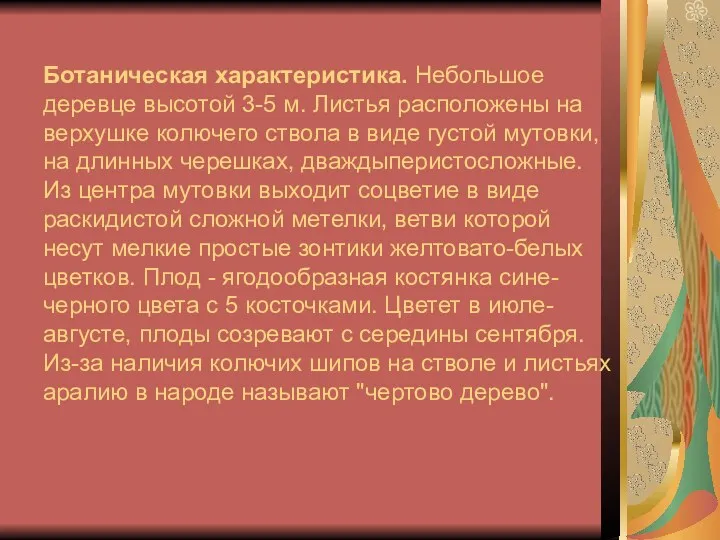 Ботаническая характеристика. Небольшое деревце высотой 3-5 м. Листья расположены на