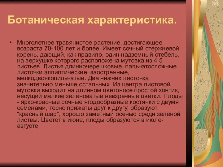 Ботаническая характеристика. Многолетнее травянистое растение, достигающее возраста 70-100 лет и