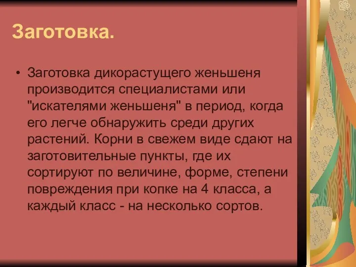 Заготовка. Заготовка дикорастущего женьшеня производится специалистами или "искателями женьшеня" в