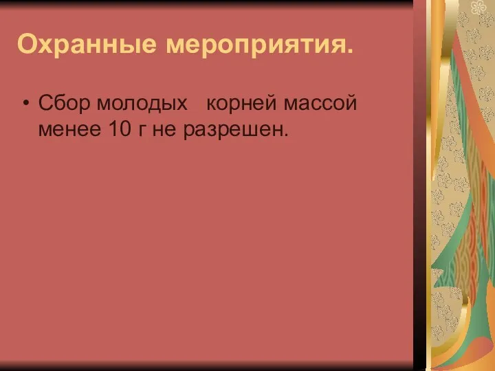 Охранные мероприятия. Сбор молодых корней массой менее 10 г не разрешен.