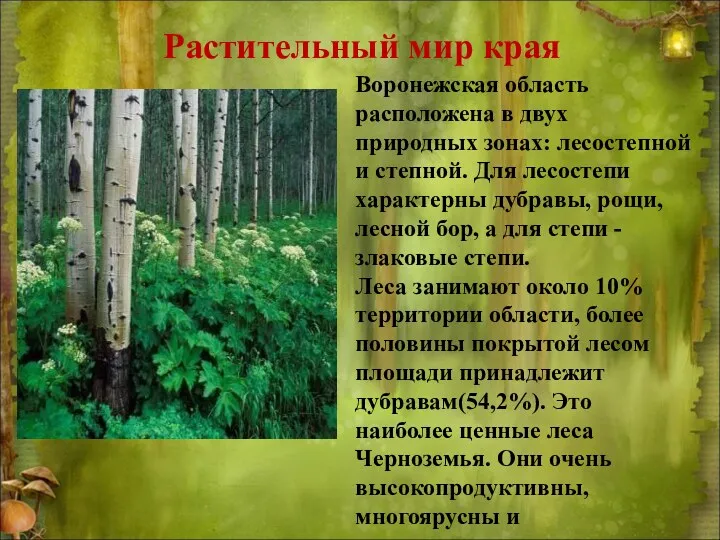 Воронежская область расположена в двух природных зонах: лесостепной и степной.