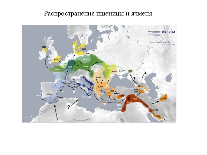 Распространение пшеницы и ячменя