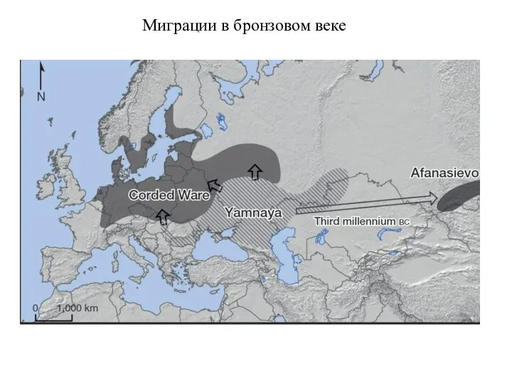 Миграции в бронзовом веке