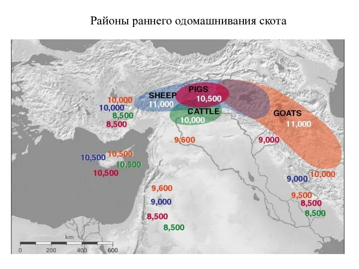 Районы раннего одомашнивания скота