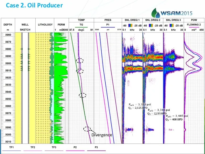 Case 2. Oil Producer Divergence
