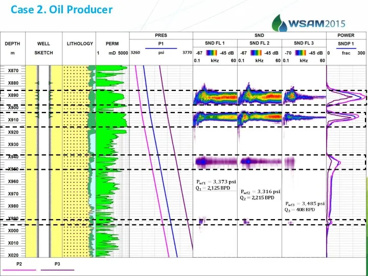 Case 2. Oil Producer
