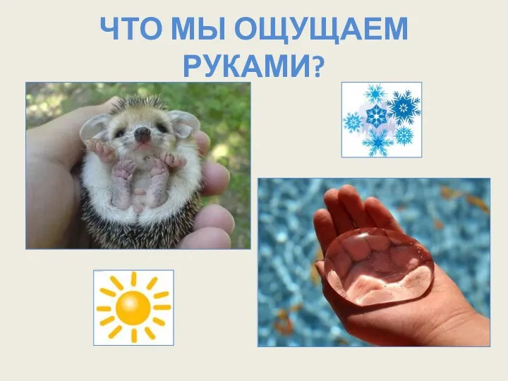 ЧТО МЫ ОЩУЩАЕМ РУКАМИ?