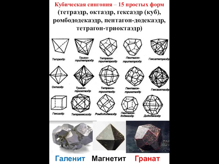 Кубическая сингония – 15 простых форм (тетраэдр, октаэдр, гексаэдр (куб), ромбододекаэдр, пентагон-додекаэдр, тетрагон-триоктаэдр) Галенит Магнетит Гранат