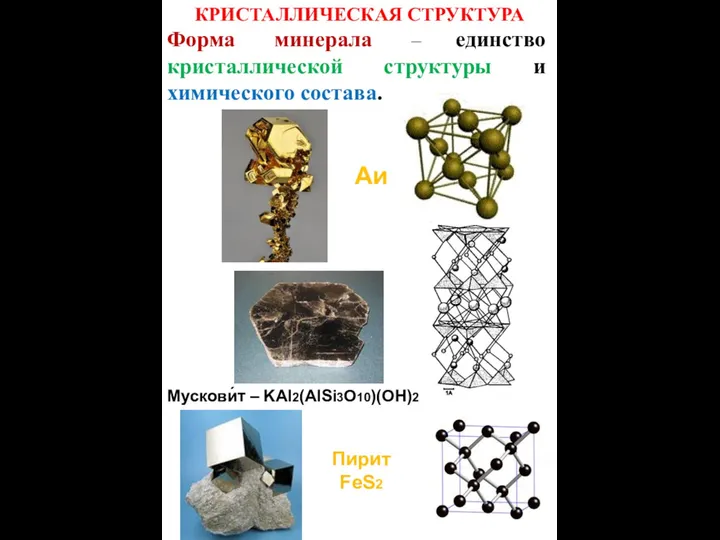 КРИСТАЛЛИЧЕСКАЯ СТРУКТУРА Форма минерала – единство кристаллической структуры и химического