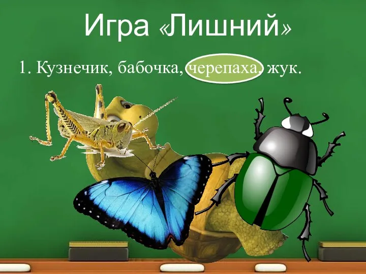 Игра «Лишний» 1. Кузнечик, бабочка, черепаха, жук.