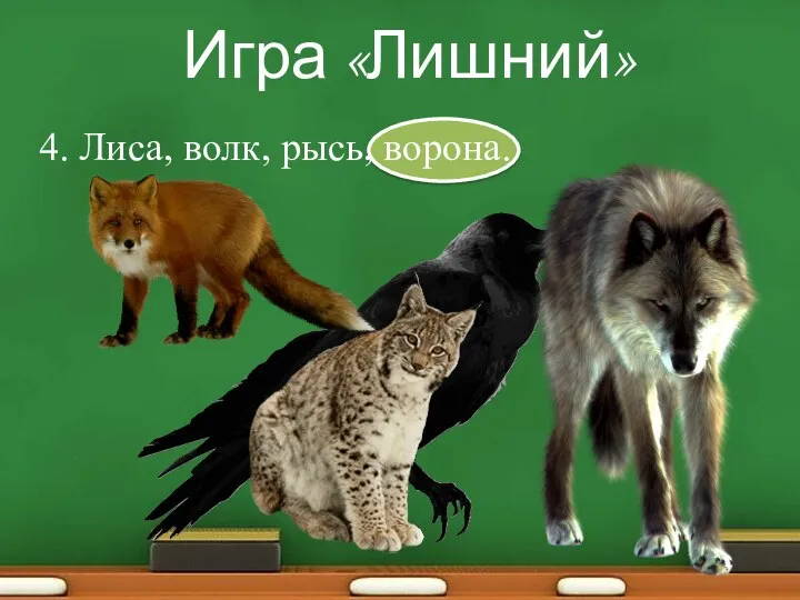 Игра «Лишний» 4. Лиса, волк, рысь, ворона.