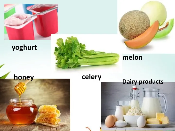 yoghurt celery melon honey Dairy products