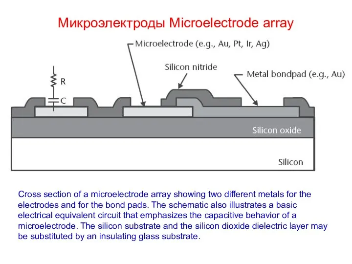 Микроэлектроды Microelectrode array Cross section of a microelectrode array showing