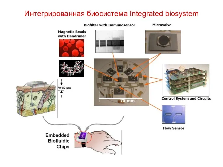 Интегрированная биосистема Integrated biosystem