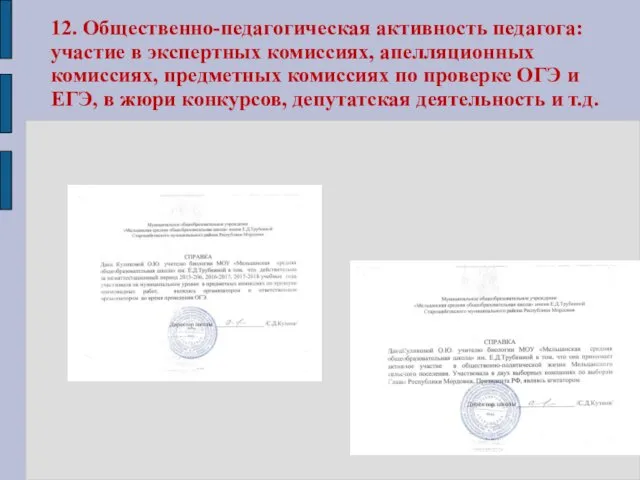 12. Общественно-педагогическая активность педагога: участие в экспертных комиссиях, апелляционных комиссиях,