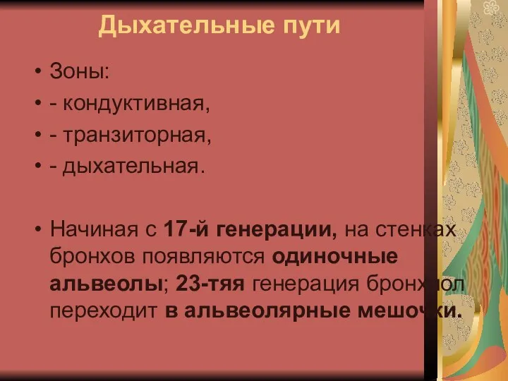 Дыхательные пути Зоны: - кондуктивная, - транзиторная, - дыхательная. Начиная