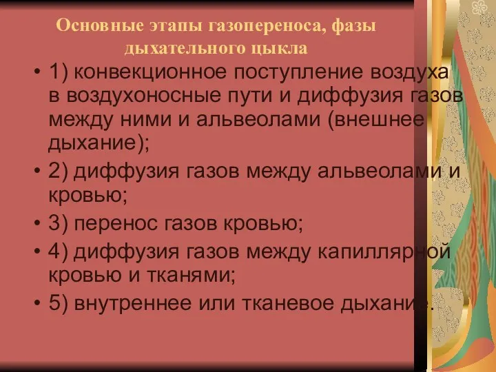 Основные этапы газопереноса, фазы дыхательного цыкла 1) конвекционное поступление воздуха