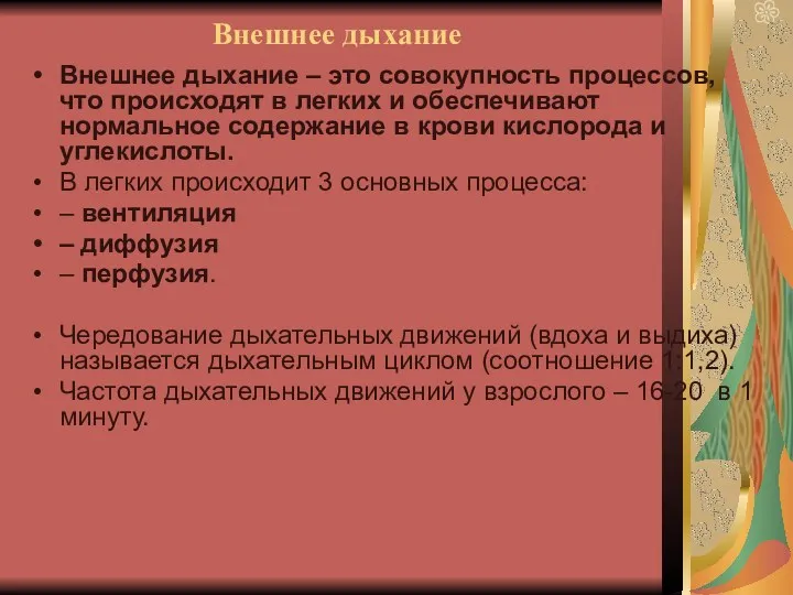 Внешнее дыхание Внешнее дыхание – это совокупность процессов, что происходят