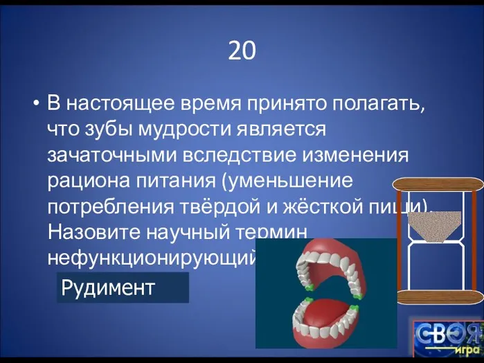 20 В настоящее время принято полагать, что зубы мудрости является зачаточными вследствие изменения