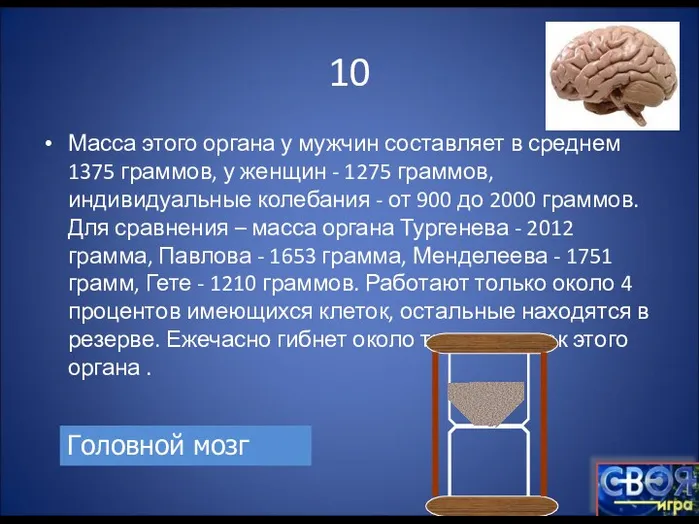 10 Масса этого органа у мужчин составляет в среднем 1375 граммов, у женщин