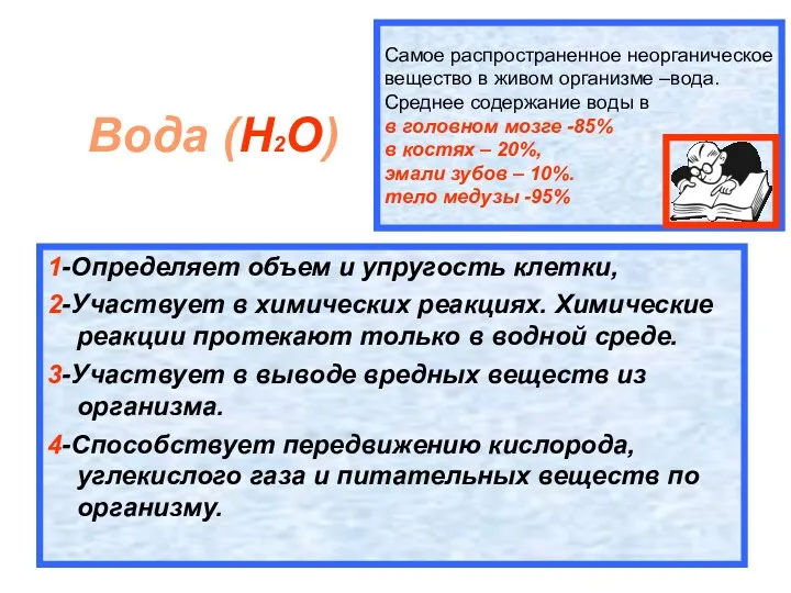 Самое распространенное неорганическое вещество в живом организме –вода. Среднее содержание