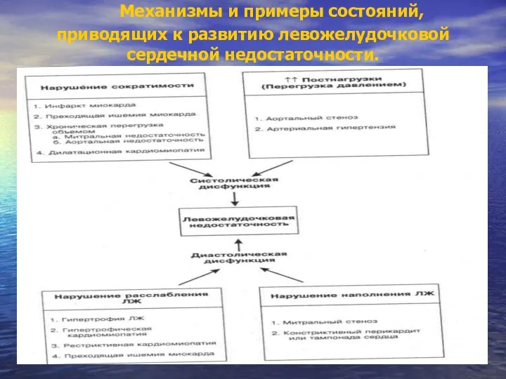 Механизмы и примеры состояний, приводящих к развитию левожелудочковой сердечной недостаточности.