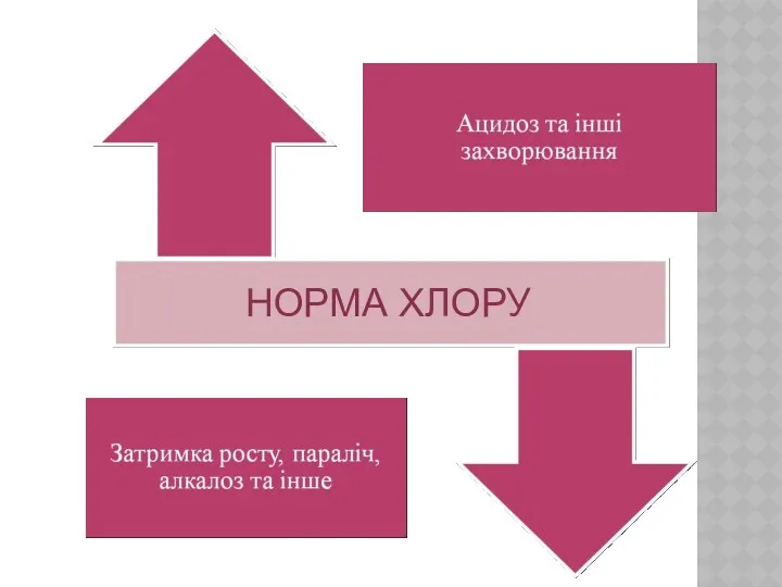 НОРМА ХЛОРУ