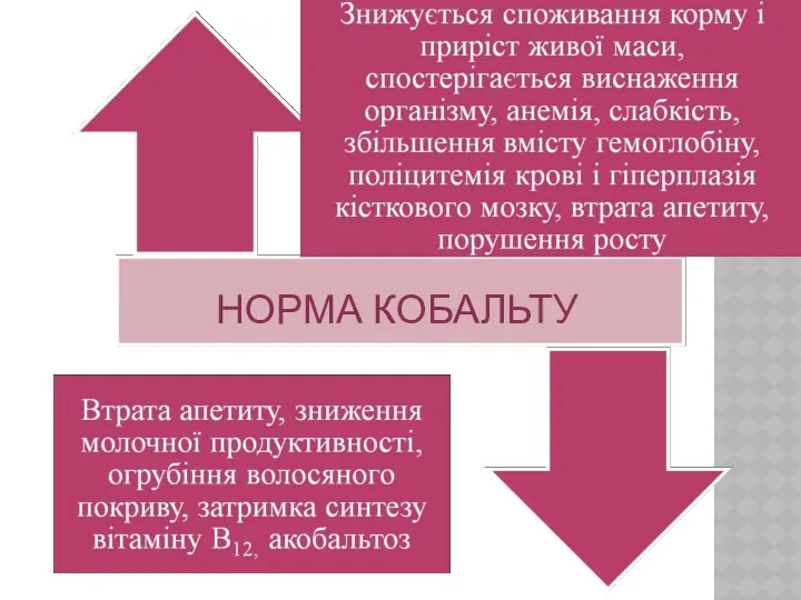 НОРМА КОБАЛЬТУ