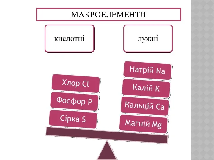 МАКРОЕЛЕМЕНТИ