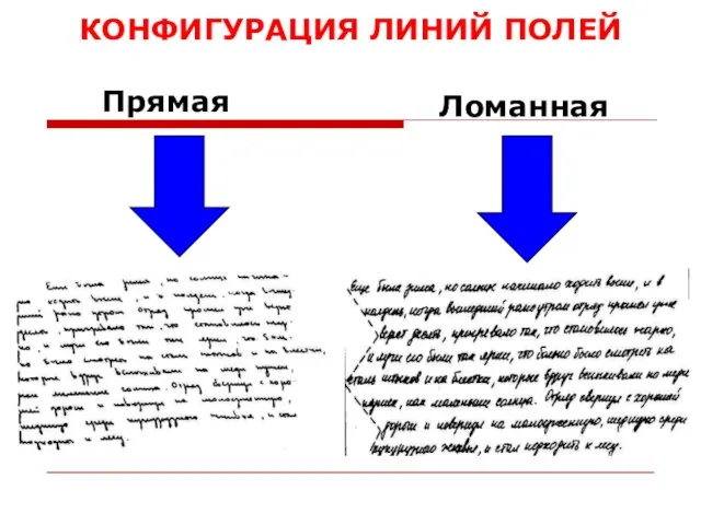 Прямая Ломанная КОНФИГУРАЦИЯ ЛИНИЙ ПОЛЕЙ