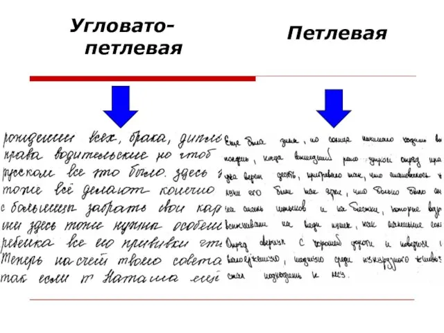 Угловато-петлевая Петлевая