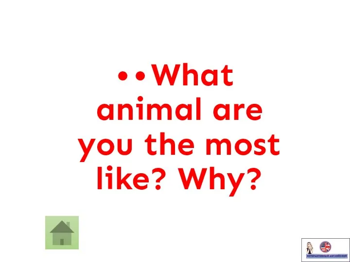 • • What animal are you the most like? Why?