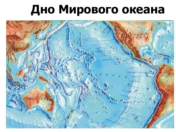Дно Мирового океана
